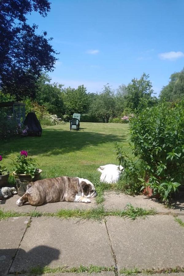 Twenty Bed & Breakfast Skellingthorpe Exterior photo