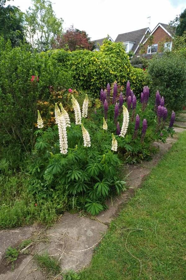 Twenty Bed & Breakfast Skellingthorpe Exterior photo